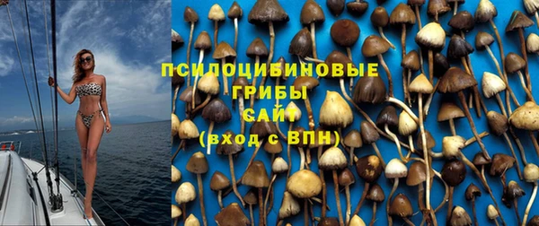 мескалин Алексин