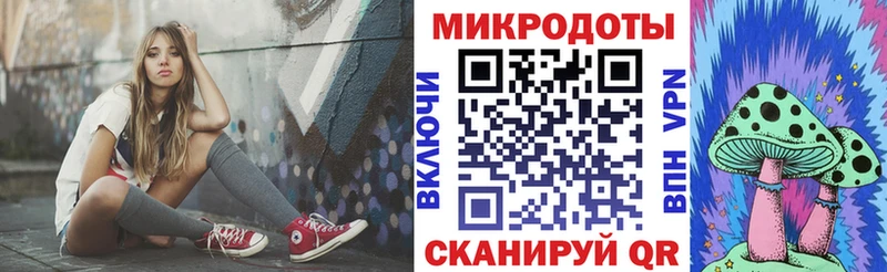 как найти наркотики Осташков Псилоцибиновые грибы Psilocybe