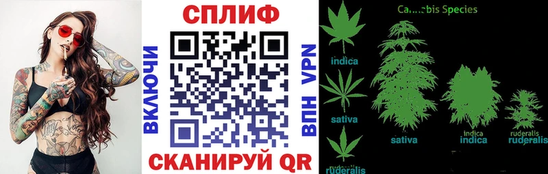 Конопля White Widow  Осташков 